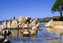 闲鱼付费引流玩法，把公域流量变成私域长期变现